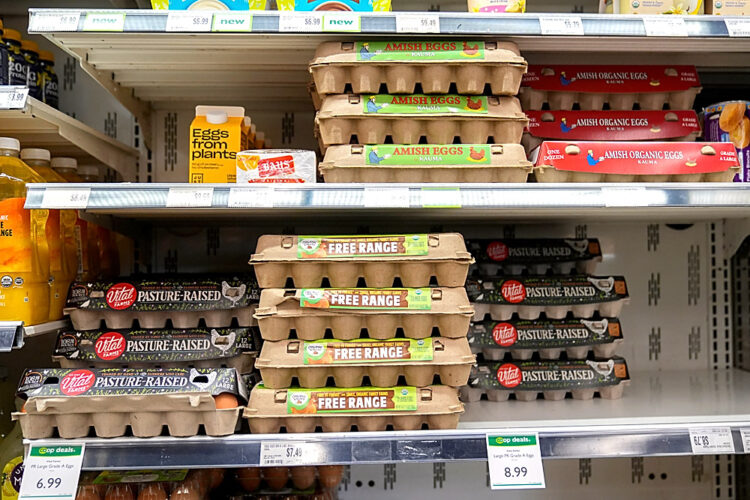 Producers to pay $3.3 million, donate eggs in price fixing case